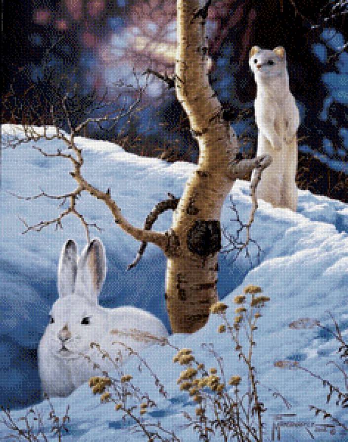 Зима в лесу - природа, заяц, зима, хорек, животные - предпросмотр