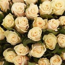 Схема вышивки «кремовые розы»