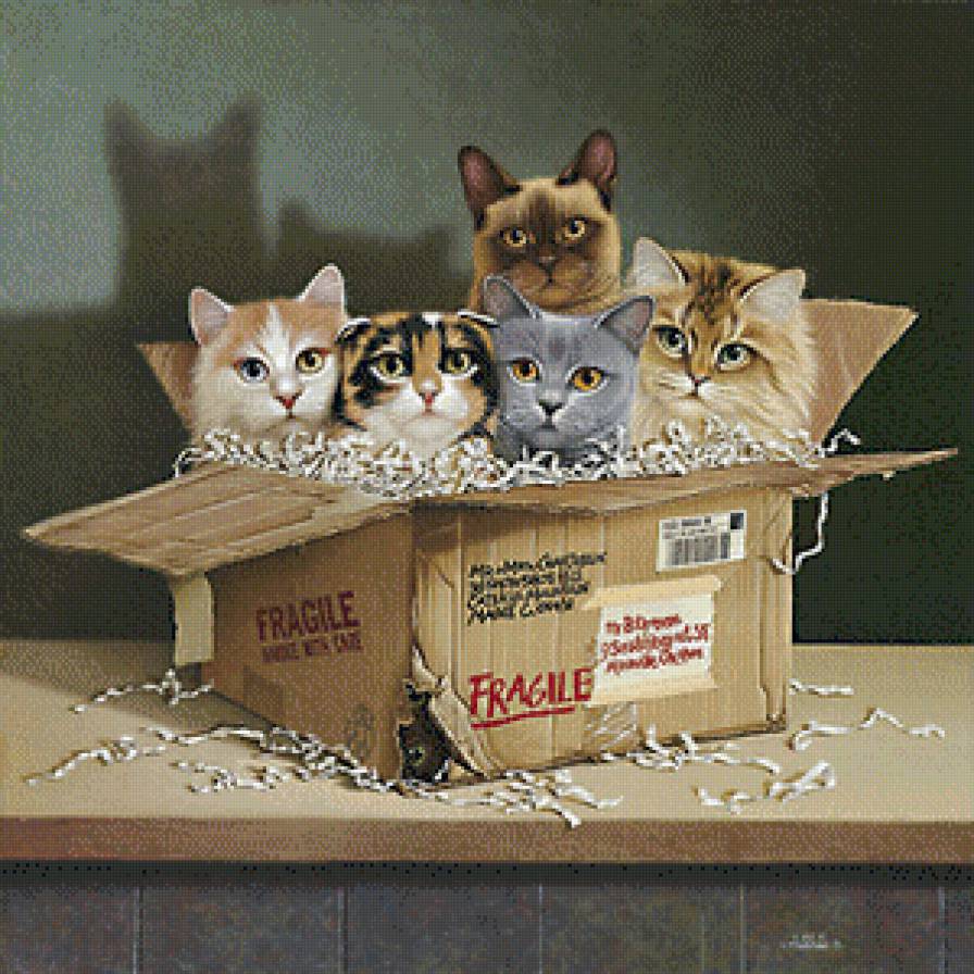 джуди гибсон 29 кошки в коробке - картина, кот, котенок, джуди гибсон, дом, кошка, коробка, подарки, уют - предпросмотр