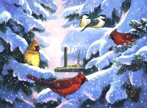 №539300 - зима, животные, птицы - оригинал