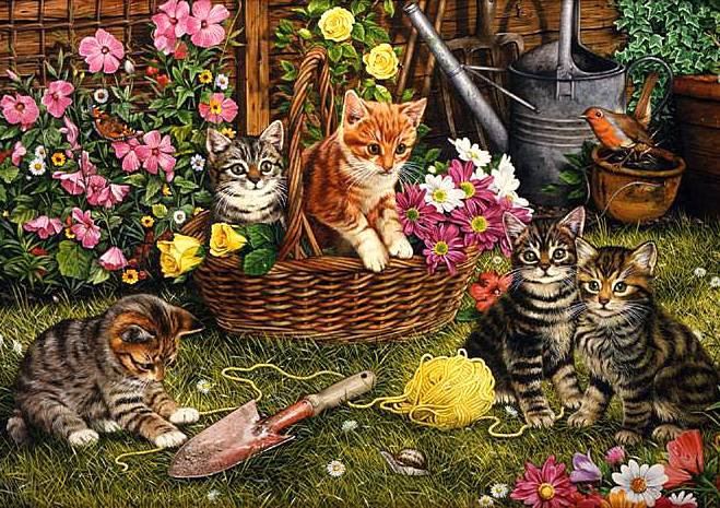 Котята в саду - животные, котята, цветы, сад - оригинал