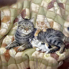 Оригинал схемы вышивки «джуди гибсон 40 кошка и котята» (№539340)