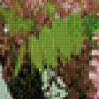 Предпросмотр схемы вышивки «бальзамин» (№539479)