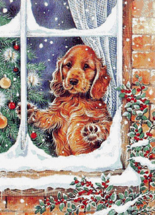 В ожидании чудес... - снег, собаки, животные, праздник, окно, елочка - предпросмотр