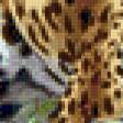 Предпросмотр схемы вышивки «гепард» (№539666)