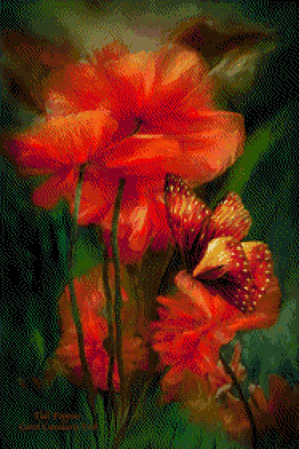 Carol Cavalaris - maki, kwiaty - предпросмотр