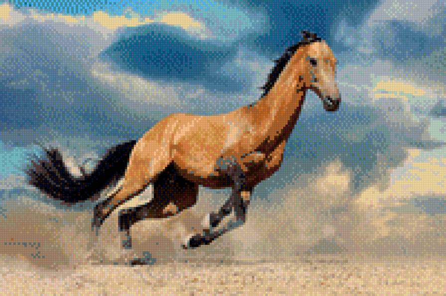 ахалтекинская лошадь - предпросмотр