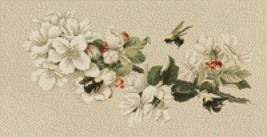 №539977 - предпросмотр