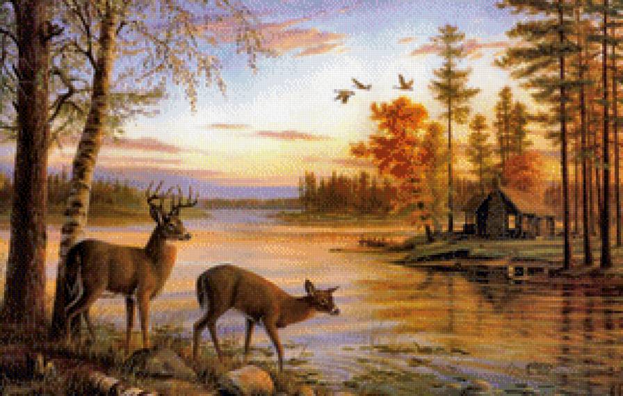 Олени у реки - олени, пейзаж, река - предпросмотр