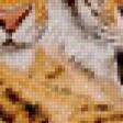 Предпросмотр схемы вышивки «Тигры» (№539995)