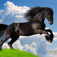 Схема вышивки «№540010»