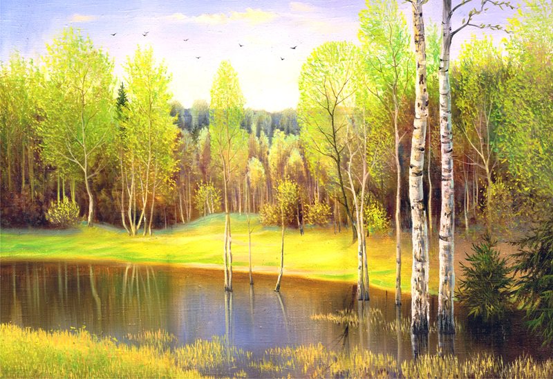 лесное озеро - лес, природа, пейзаж, озеро - оригинал