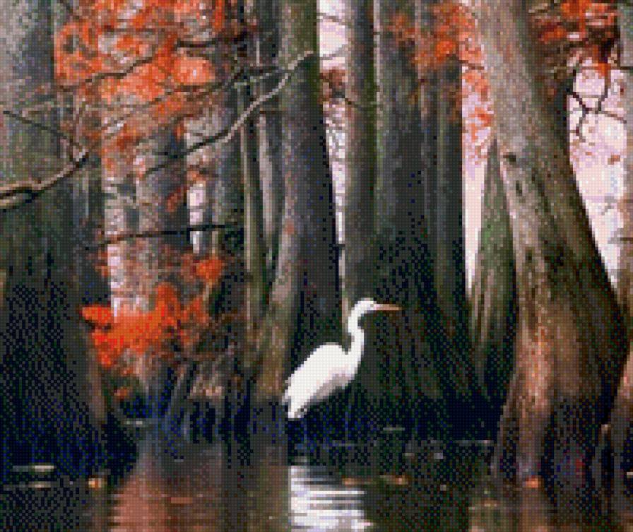 цапля на озере - пейзаж, природа, лес, озеро - предпросмотр