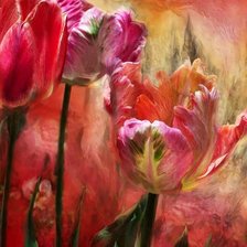 Схема вышивки «Carol Cavalaris»