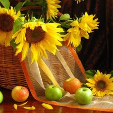 Схема вышивки «натюрморт»