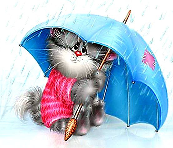 Котенок под дождиком - животные, котенок, дождик, малышам, зонтик - оригинал