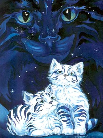 Полосатые котята - взгляд, глаза, звезды, котята, животные, кошки - оригинал