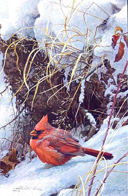 зимородок ... - воробей, снегирь, веточка, синичка, птичка, серия птицы, природа - оригинал