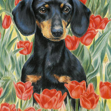 Схема вышивки «такса и тюльпаны»