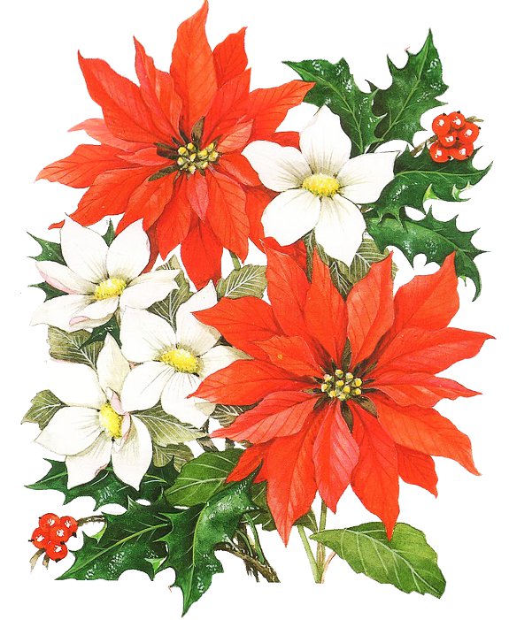 букет цветов - оригинал