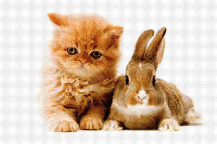 зайка с котенком - зайка, животные, котенок - предпросмотр
