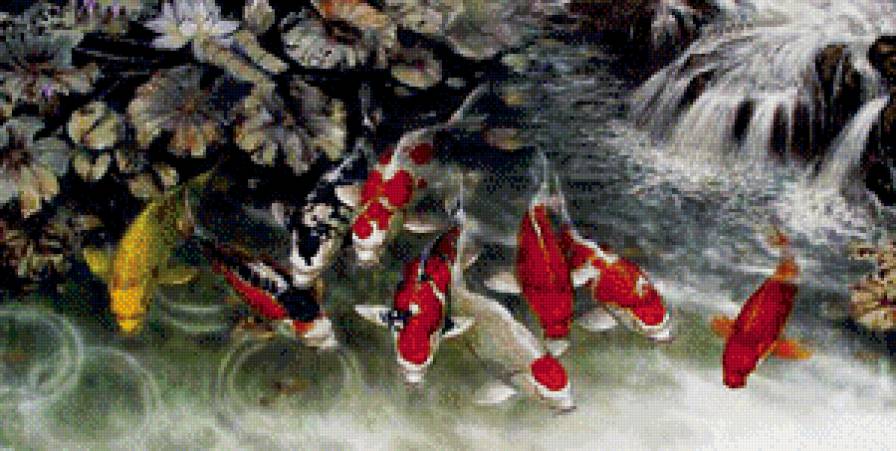 9 карпов кои - вода, лотос, талисман, восток, удача, животное, природа, фэн-шуй, рыба - предпросмотр