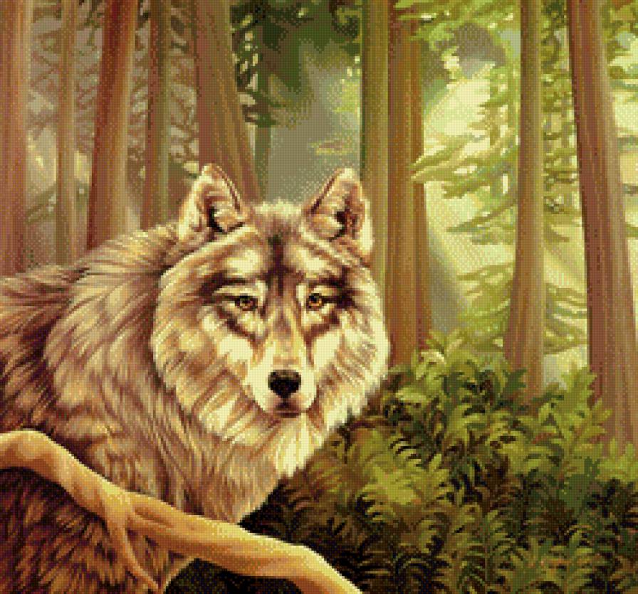 волк - животные, природа, лес, волки - предпросмотр