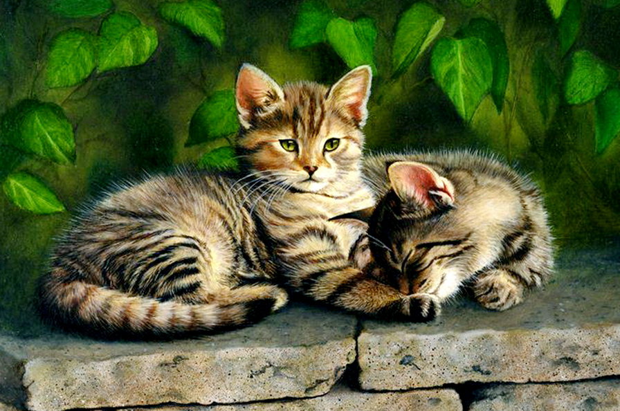 летний отдых - сон, живопись, лапушка, милашка, котенок, кот, пара, листья - оригинал