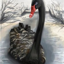 черный лебедь