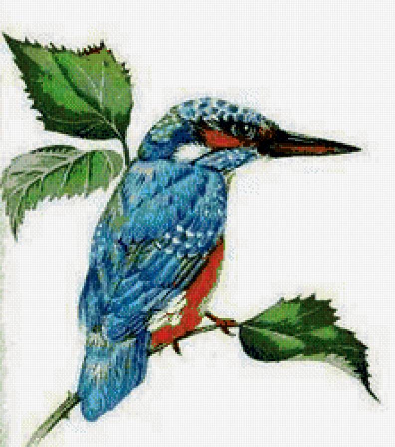 зимородок - птицы, природа, зимородок - предпросмотр