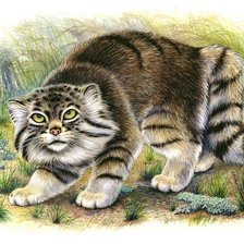 хищный злюка