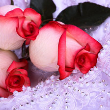 Схема вышивки «розы»