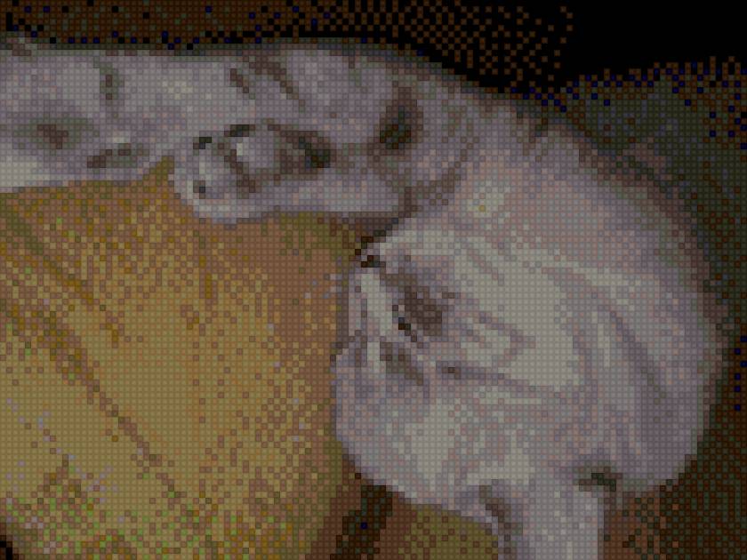 Киса - кошки - предпросмотр