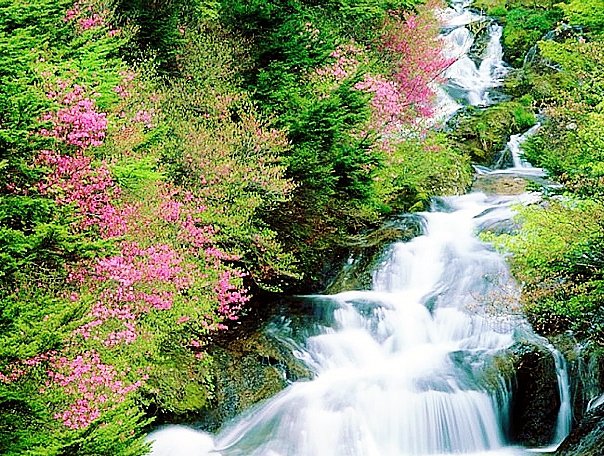 горная река - оригинал