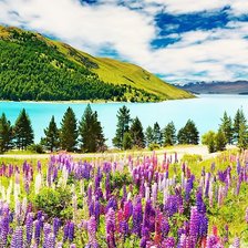 горный пейезаж