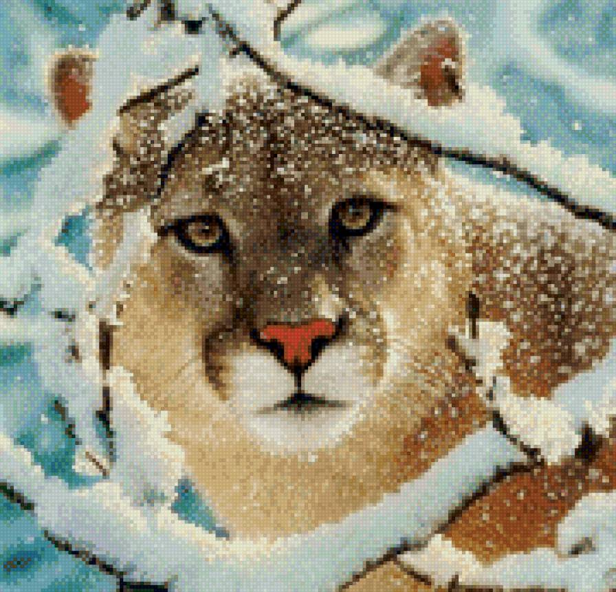 пума зимой - предпросмотр