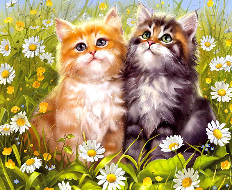 Котята - котята, ромашки, животные, цветы - оригинал