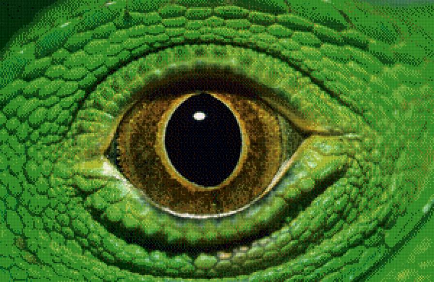 глаз ящерицы - предпросмотр