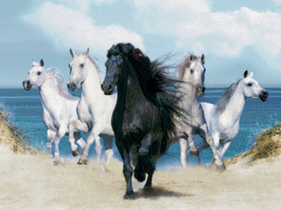 кони - лошади, единороги, табун, кони, картина, животные - предпросмотр