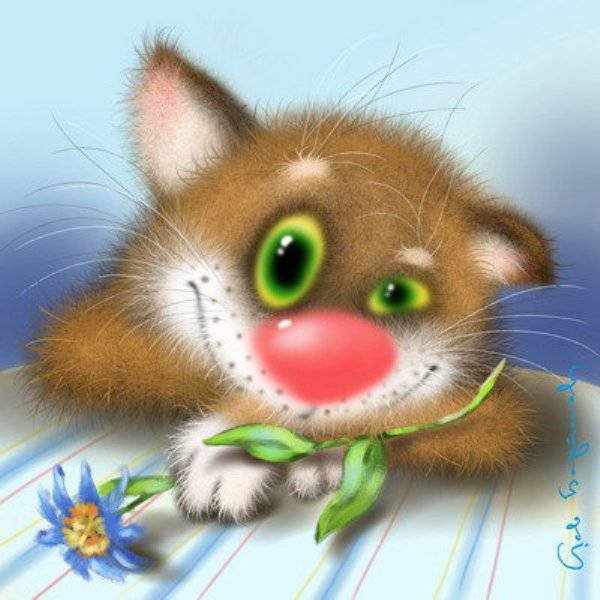Котик - смешной, цветок - оригинал