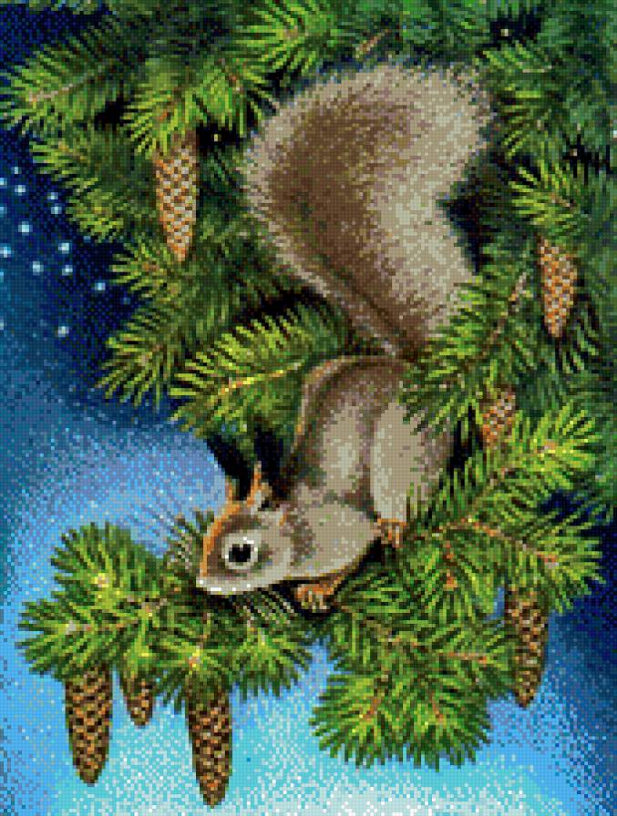 Белочка на ветке - животные, ветка, белка, шишки, звери - предпросмотр