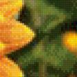 Предпросмотр схемы вышивки «цветы» (№541261)