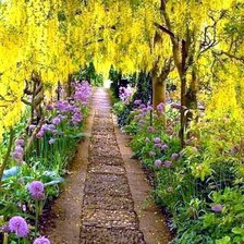 Осень в парке