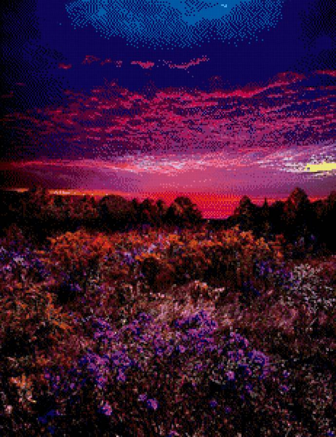 На закате - ярко, закат, цветы - предпросмотр