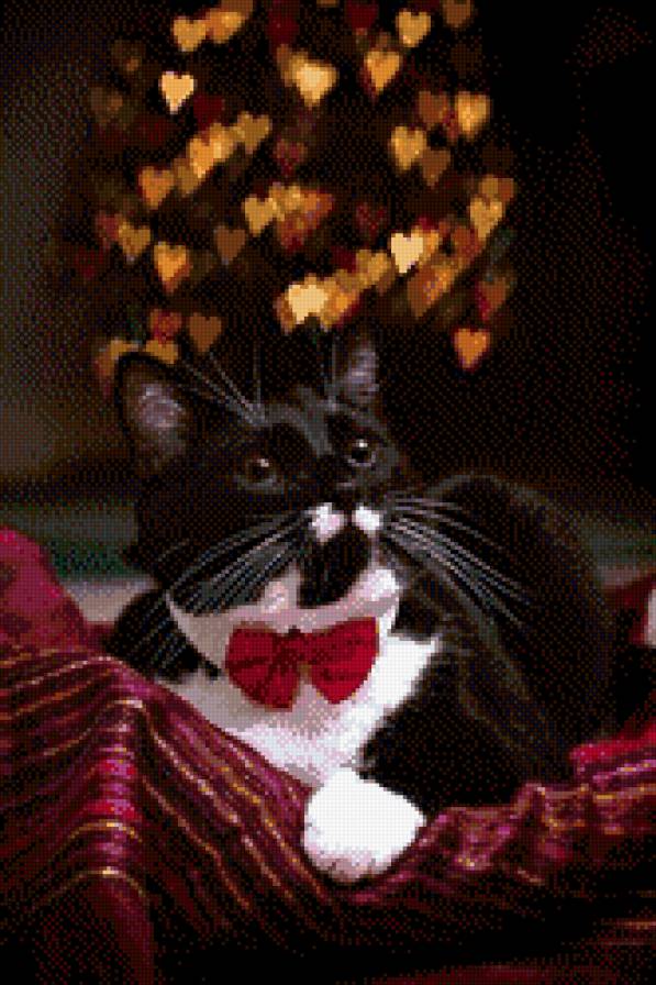 котик - предпросмотр