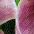 Предпросмотр схемы вышивки «Орхидея» (№541573)