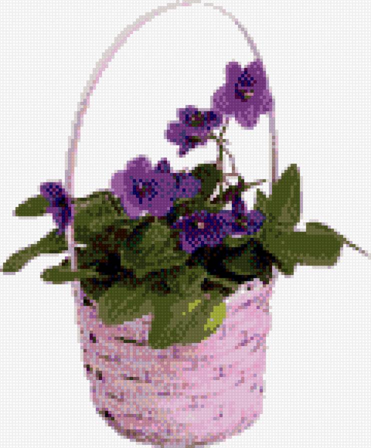 фиалка - предпросмотр