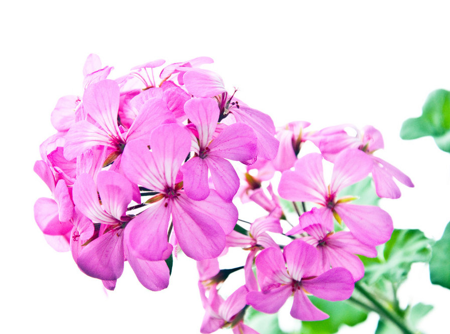 №541824 - оригинал