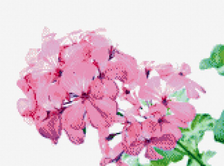 №541824 - предпросмотр