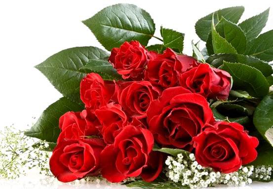 розы - оригинал